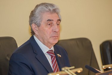 Депутаты приняли отчет полиции 